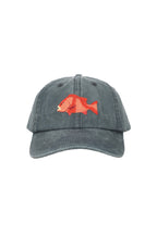 PALLION POINT | Red Emperor Cap | Blue Stone