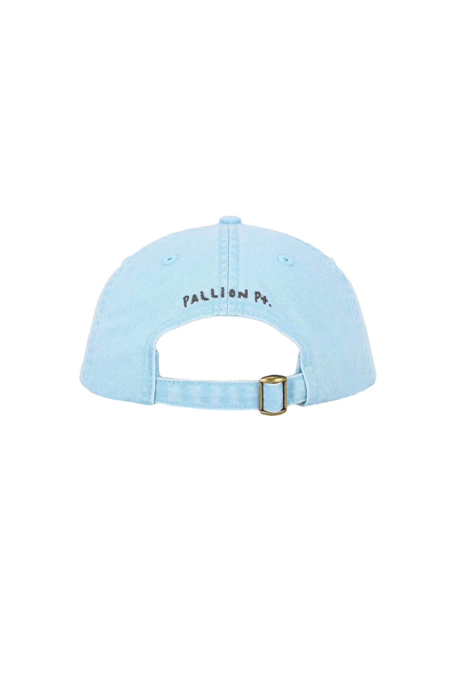 PALLION POINT | Humpback Whale Cap | Sky Blue