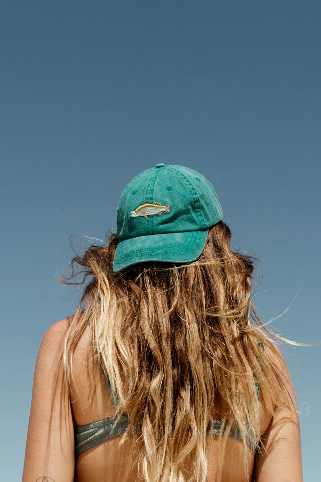 PALLION POINT | Barramundi Cap | Teal