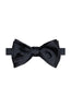 CANALI | Self-Tie Bow Tie | Navy