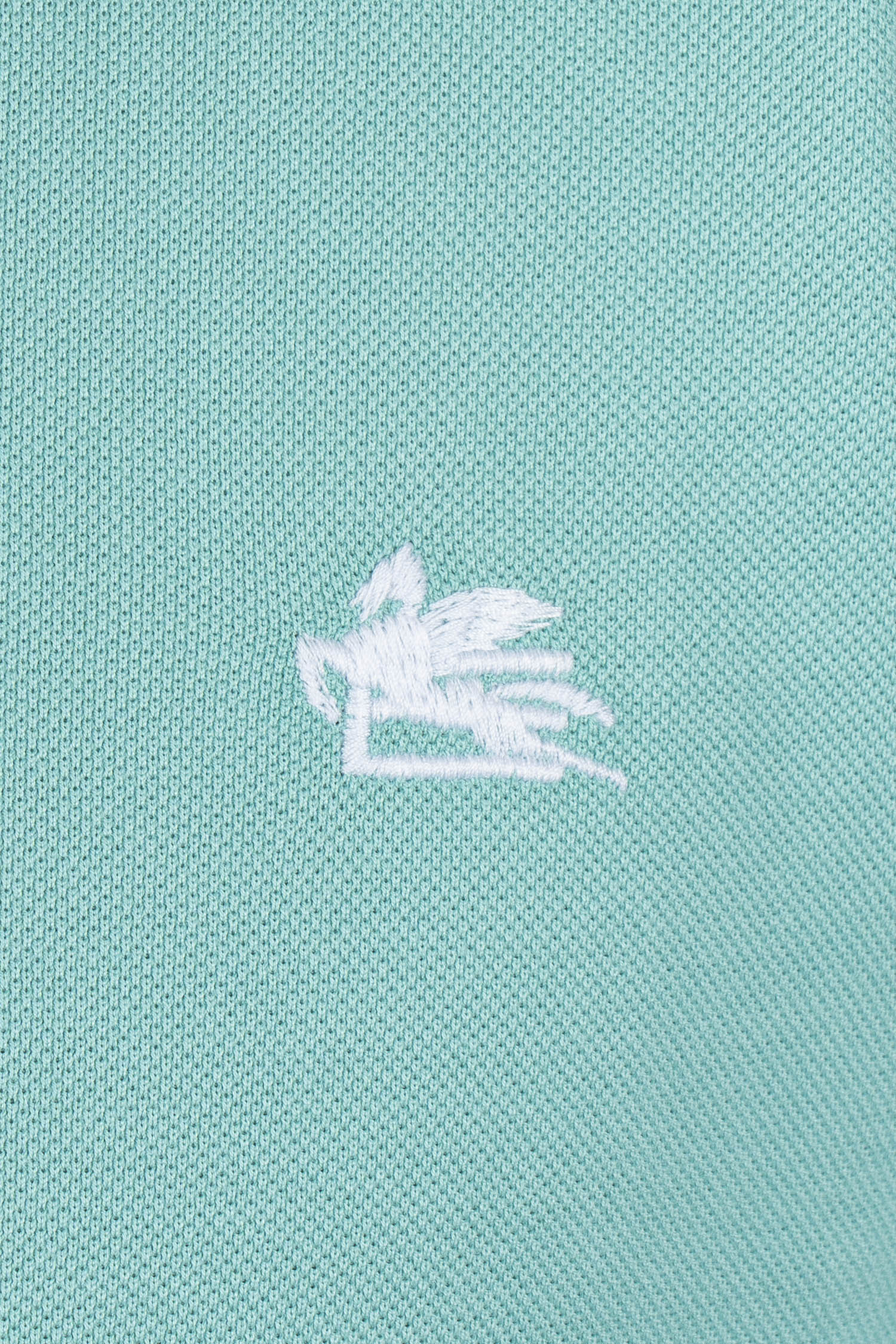 ETRO | Polo With Inner Contrast | Seafoam