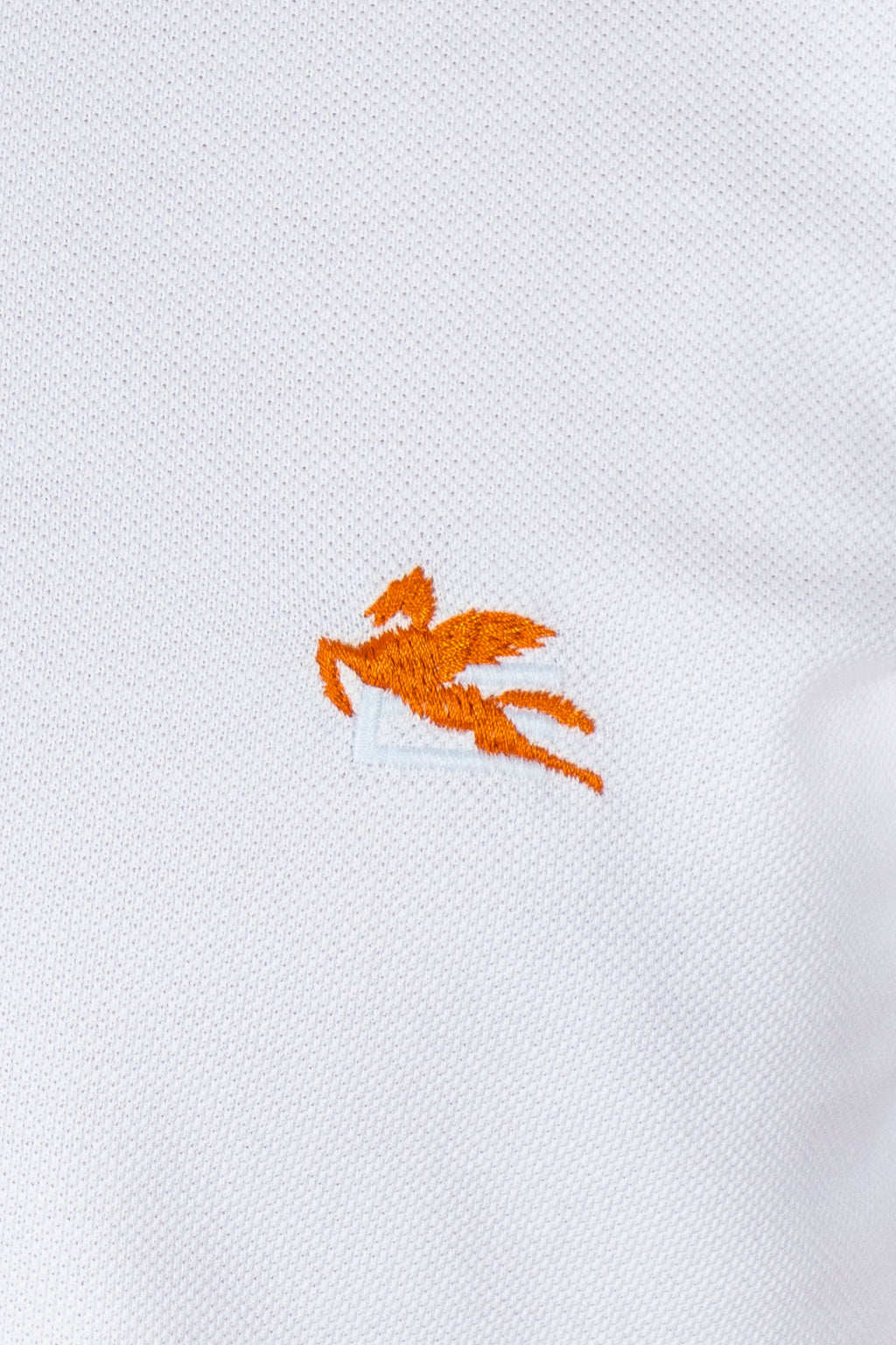 ETRO | Polo With Inner Contrast | White
