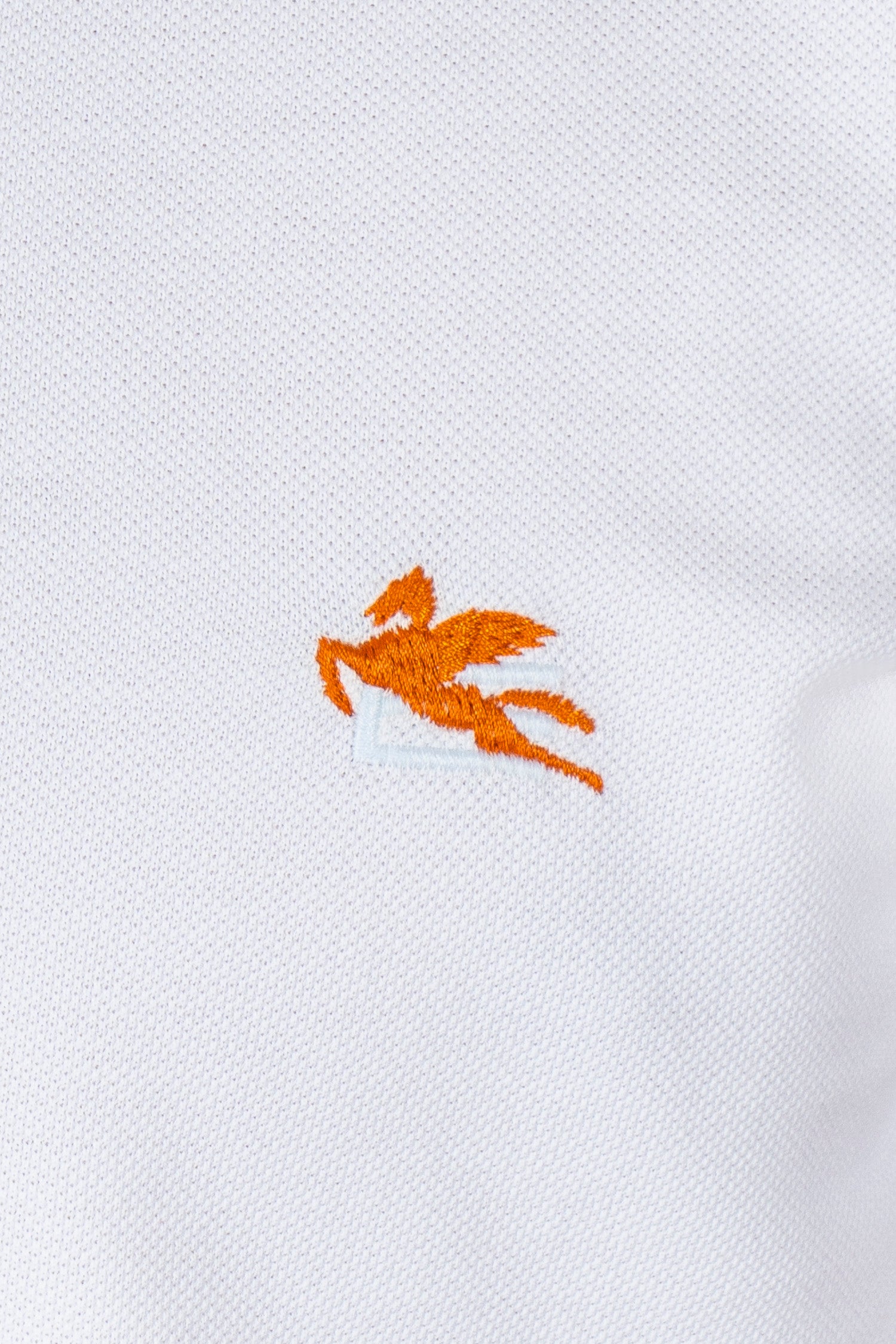ETRO | Polo With Inner Contrast | White