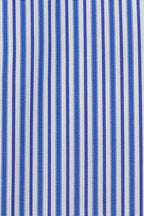 BRIONI | Clark Alternating Striped Shirt | Blue