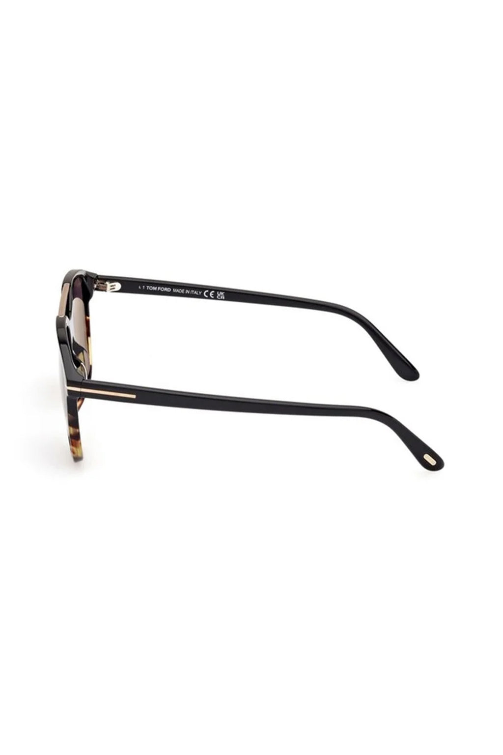 TOM FORD | Damian-02 Sunglasses | Black & Tortoise