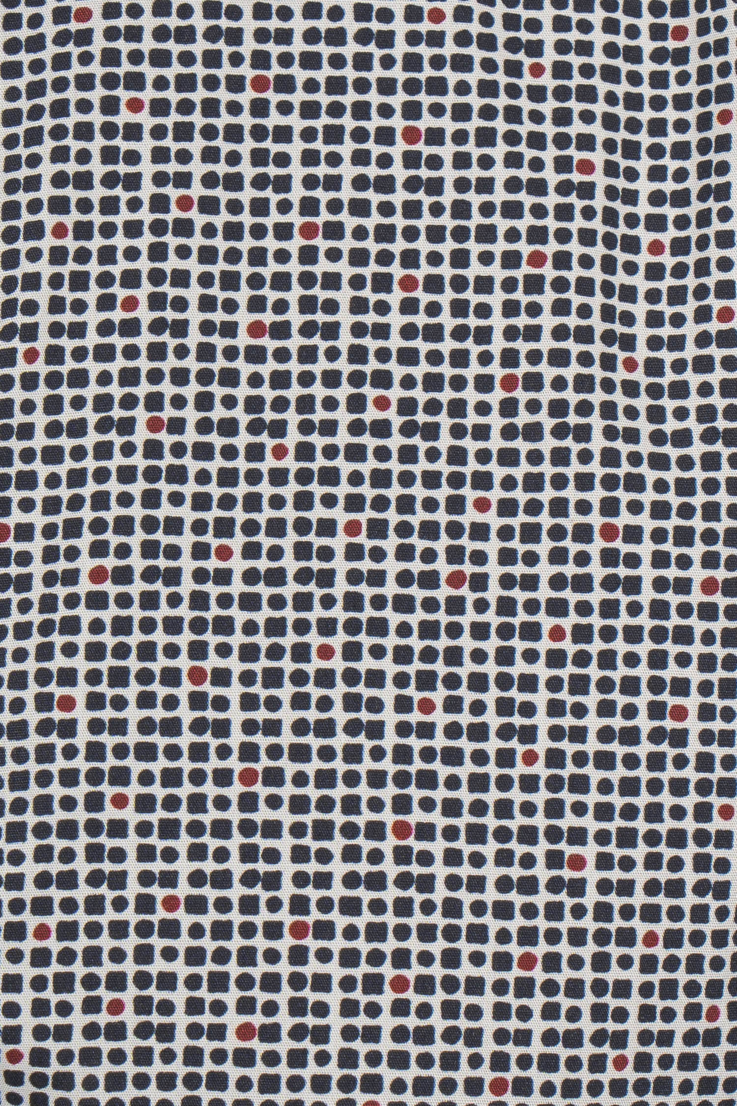 CANALI | Spot On Check Shirt | Navy & Red