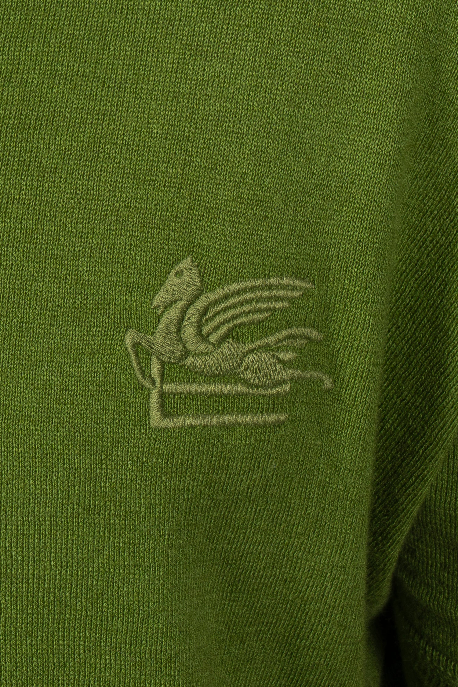 ETRO | Knitted Cotton Polo | Green