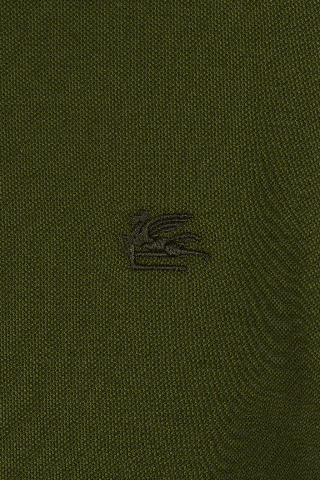 ETRO | Polo With Contrast | Olive Green
