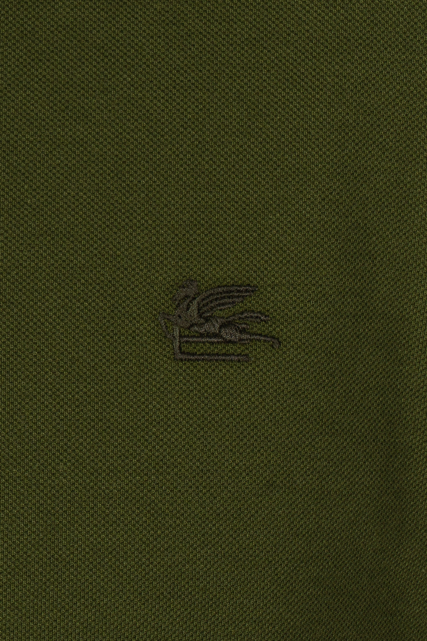 ETRO | Polo With Contrast | Olive Green