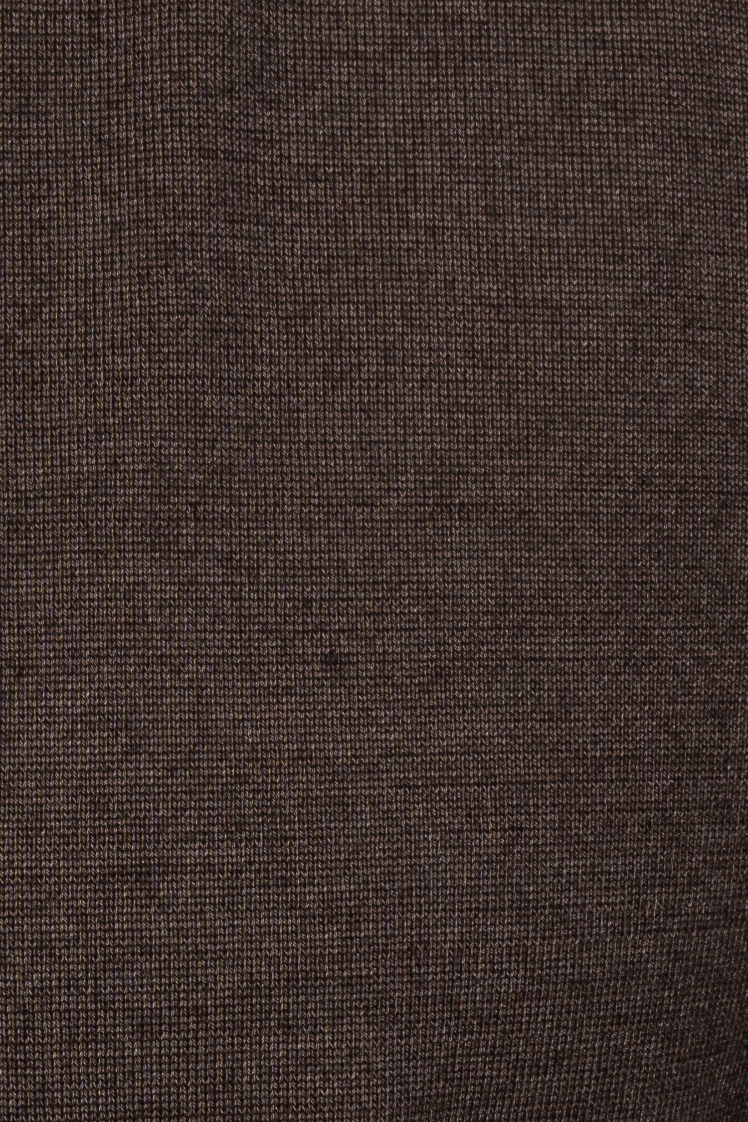 CANALI | Exclusive Wool-Silk Crew Neck Knit | Chocolate