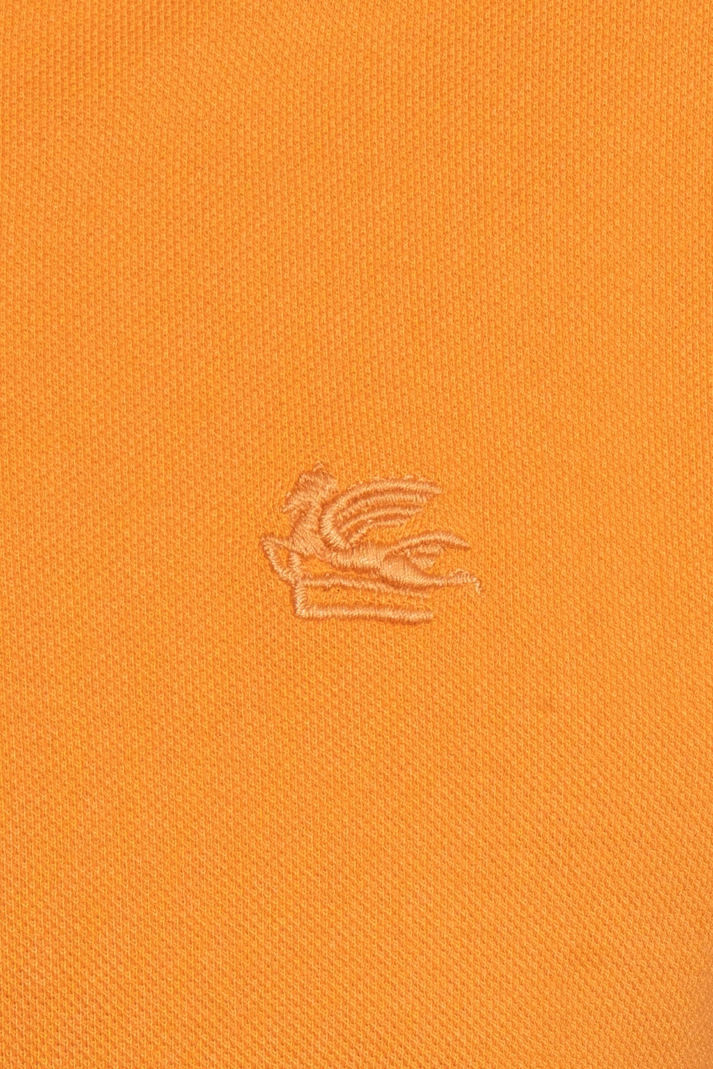 ETRO | Polo With Contrast | Orange