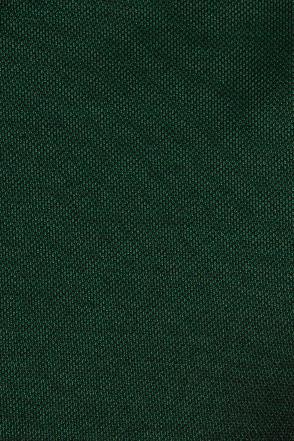 CANALI | Polo | Forest
