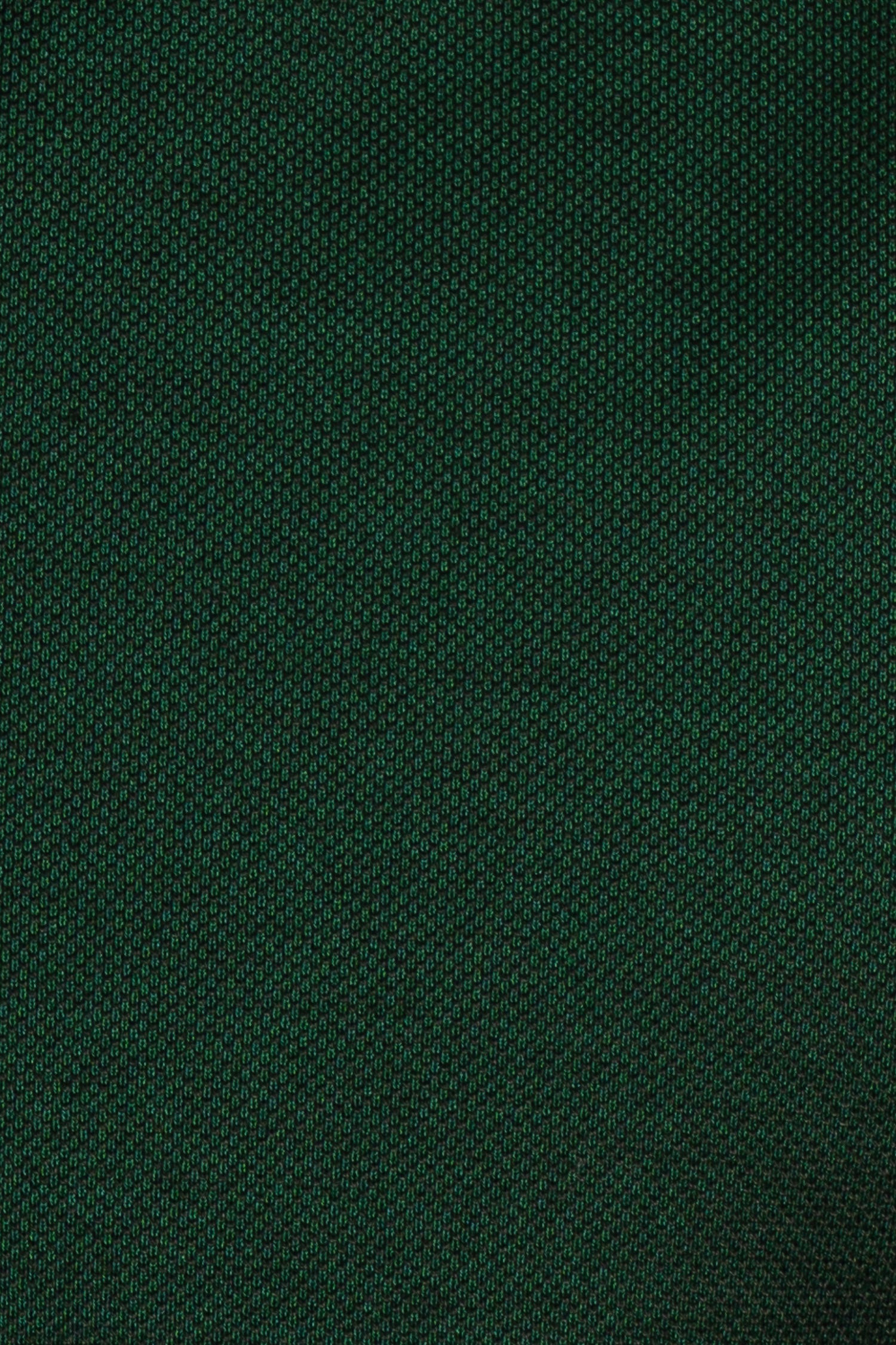CANALI | Polo | Forest