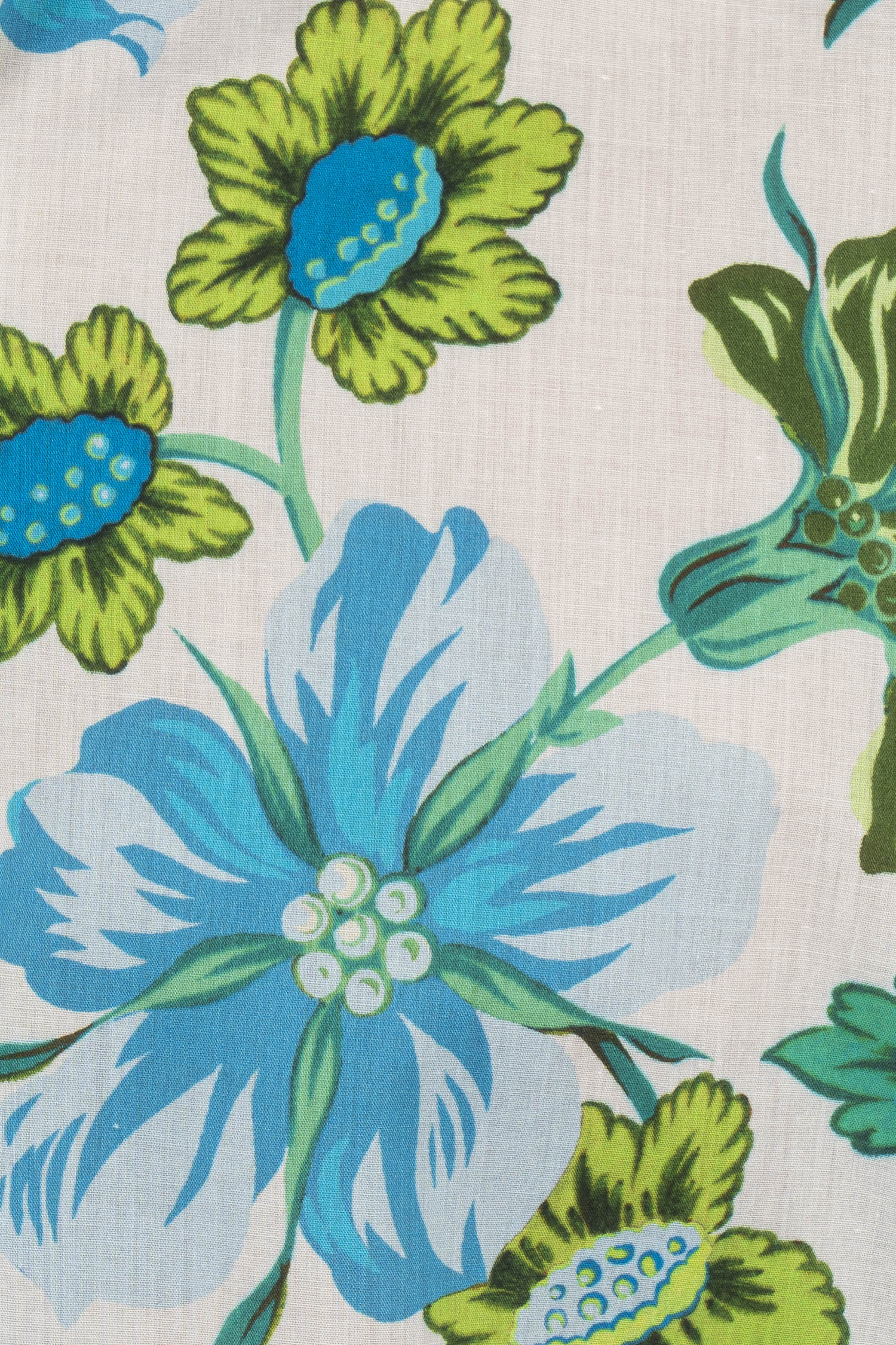 ETRO | Floral Shirt | Blue & Green