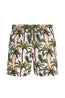 VILEBREQUIN | Moorea Palm Trees Swim Shorts | Multicolour