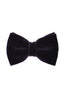 ASCOT | Velvet Bow Tie | Deep Purple