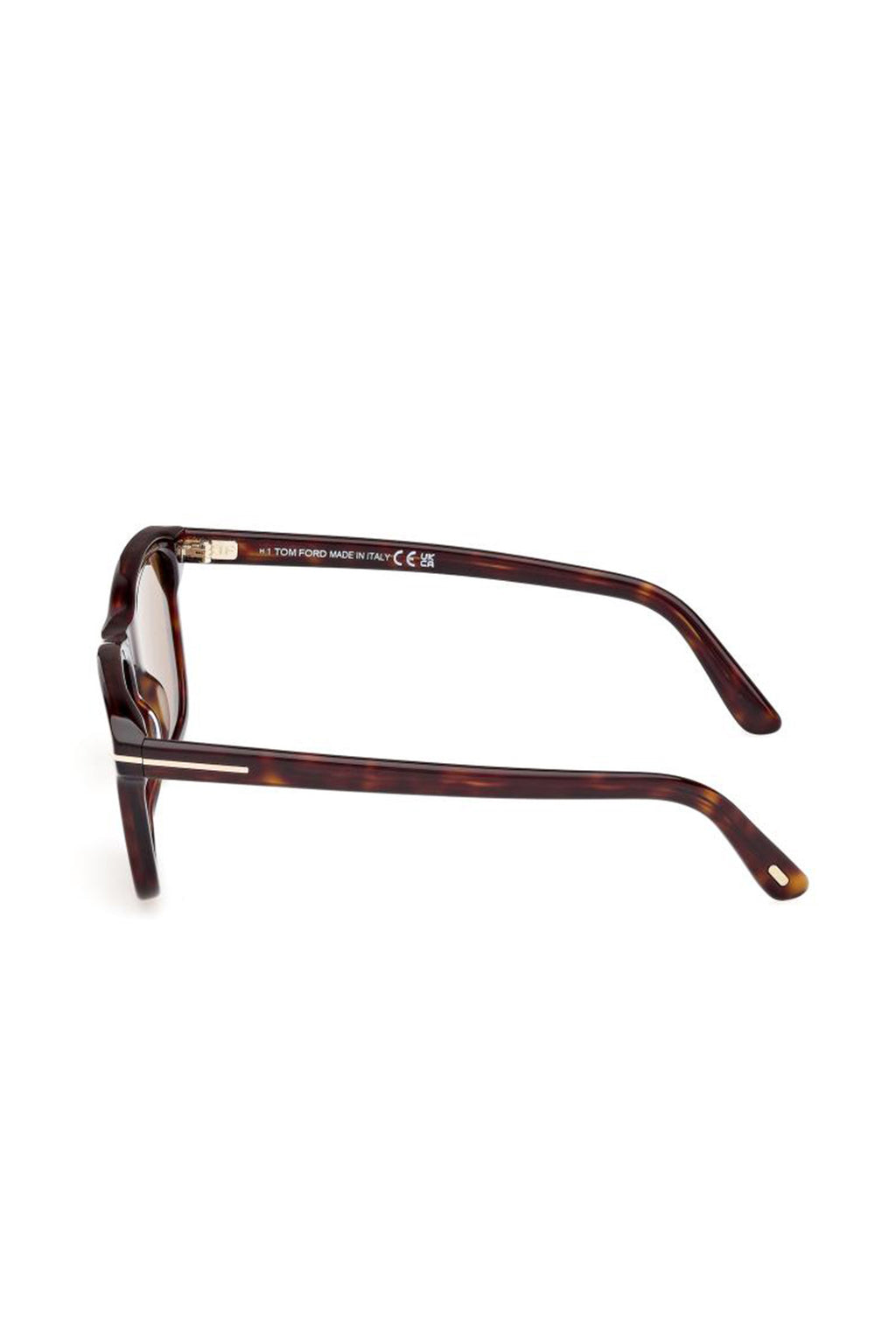 TOM FORD | Barron Sunglasses | Tortoise