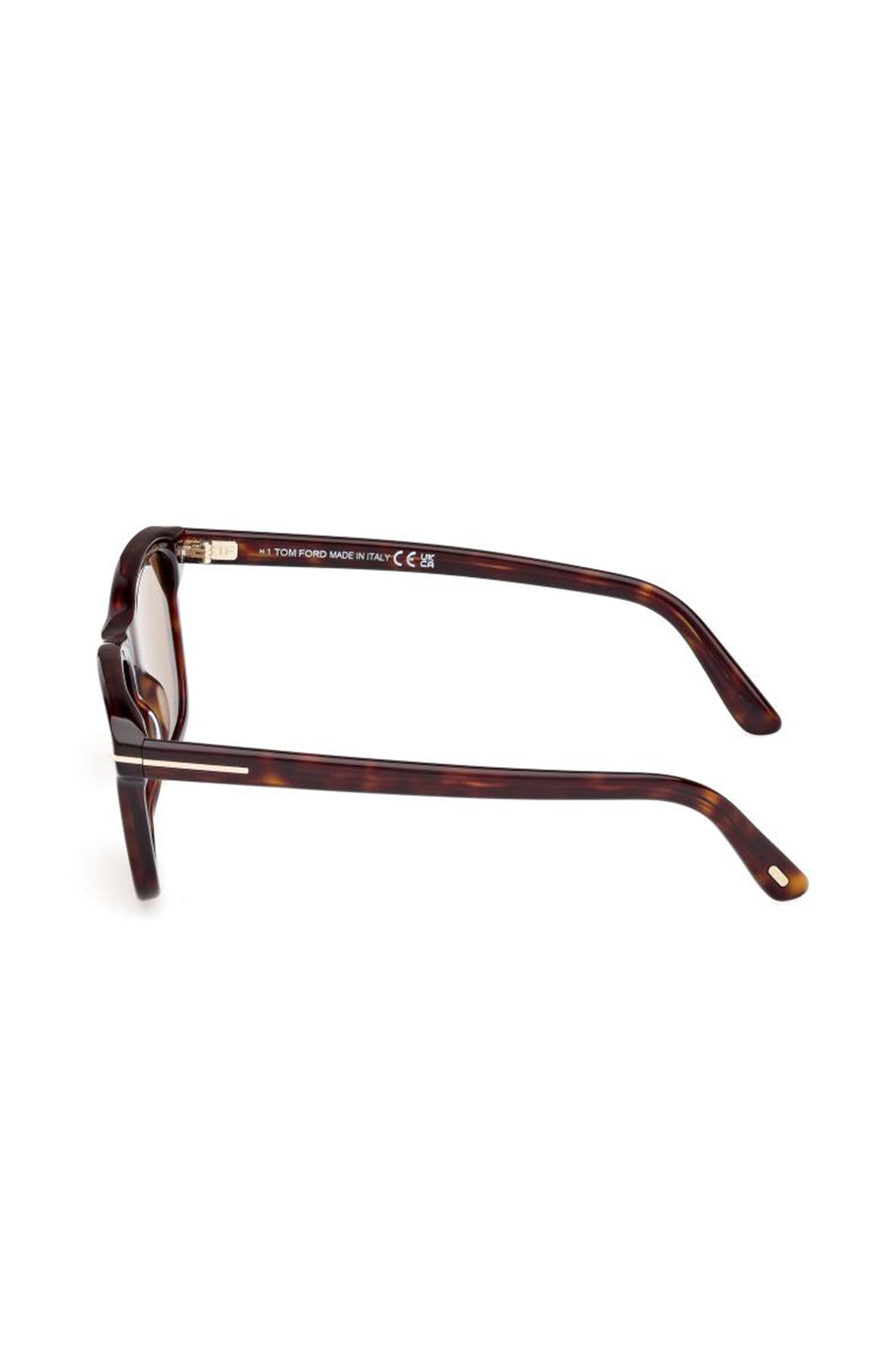 TOM FORD | Barron Sunglasses | Tortoise