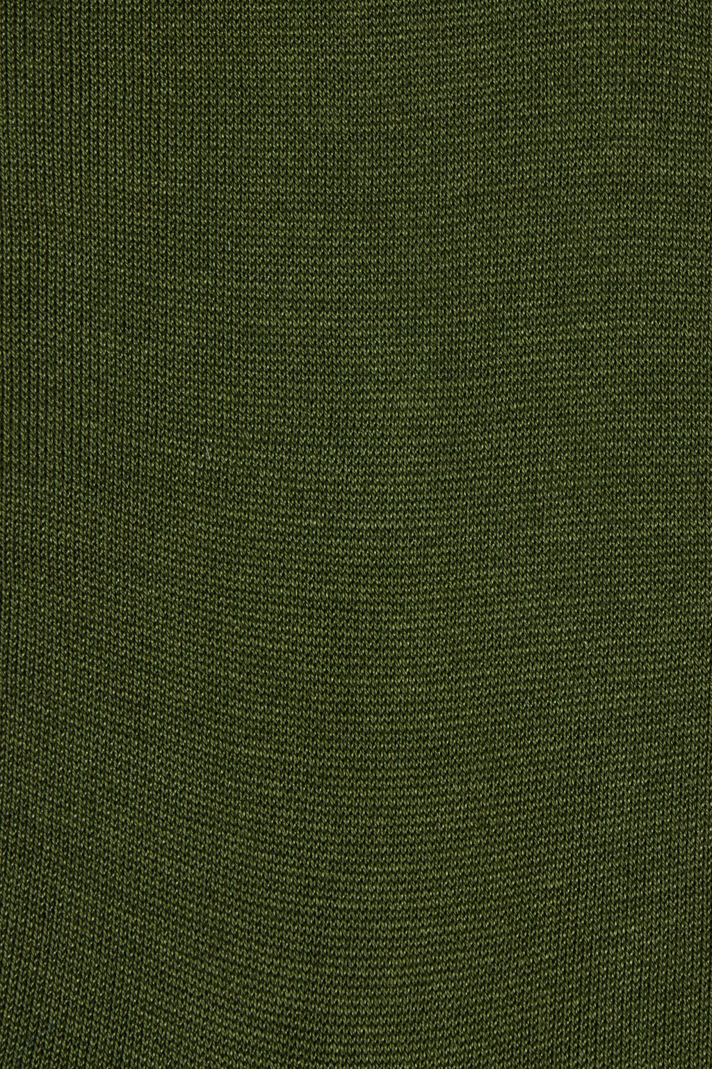 CANALI | Plain Cotton Socks | Olive Green