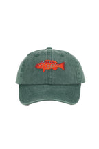 PALLION POINT | Kids Coral Trout Cap | Khaki