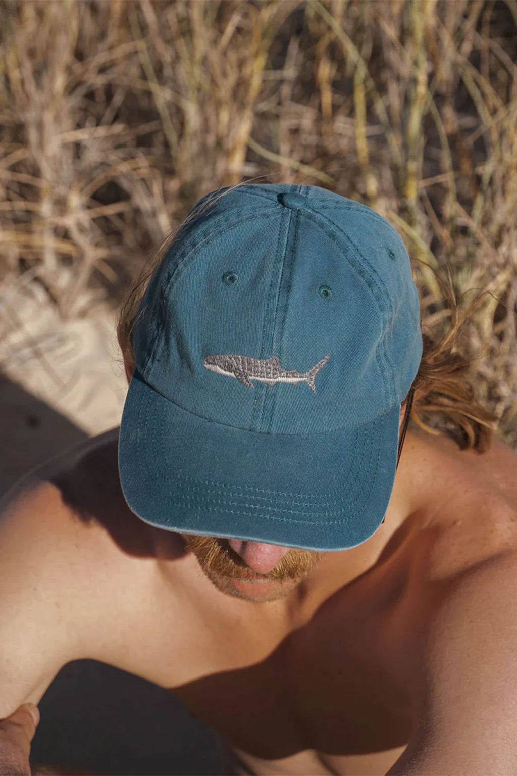 PALLION POINT | Whale Shark Cap | Dark Teal