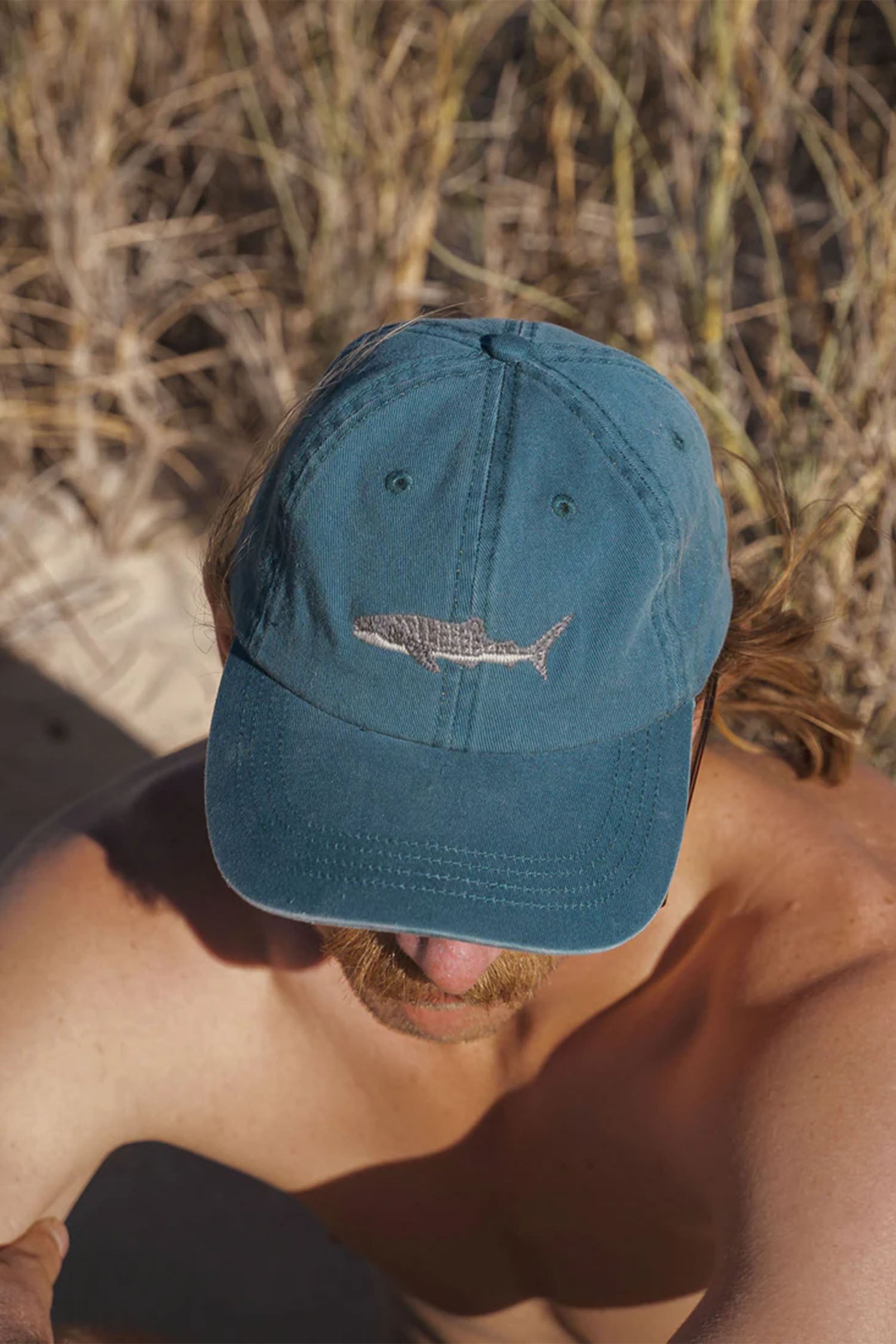 PALLION POINT | Whale Shark Cap | Dark Teal