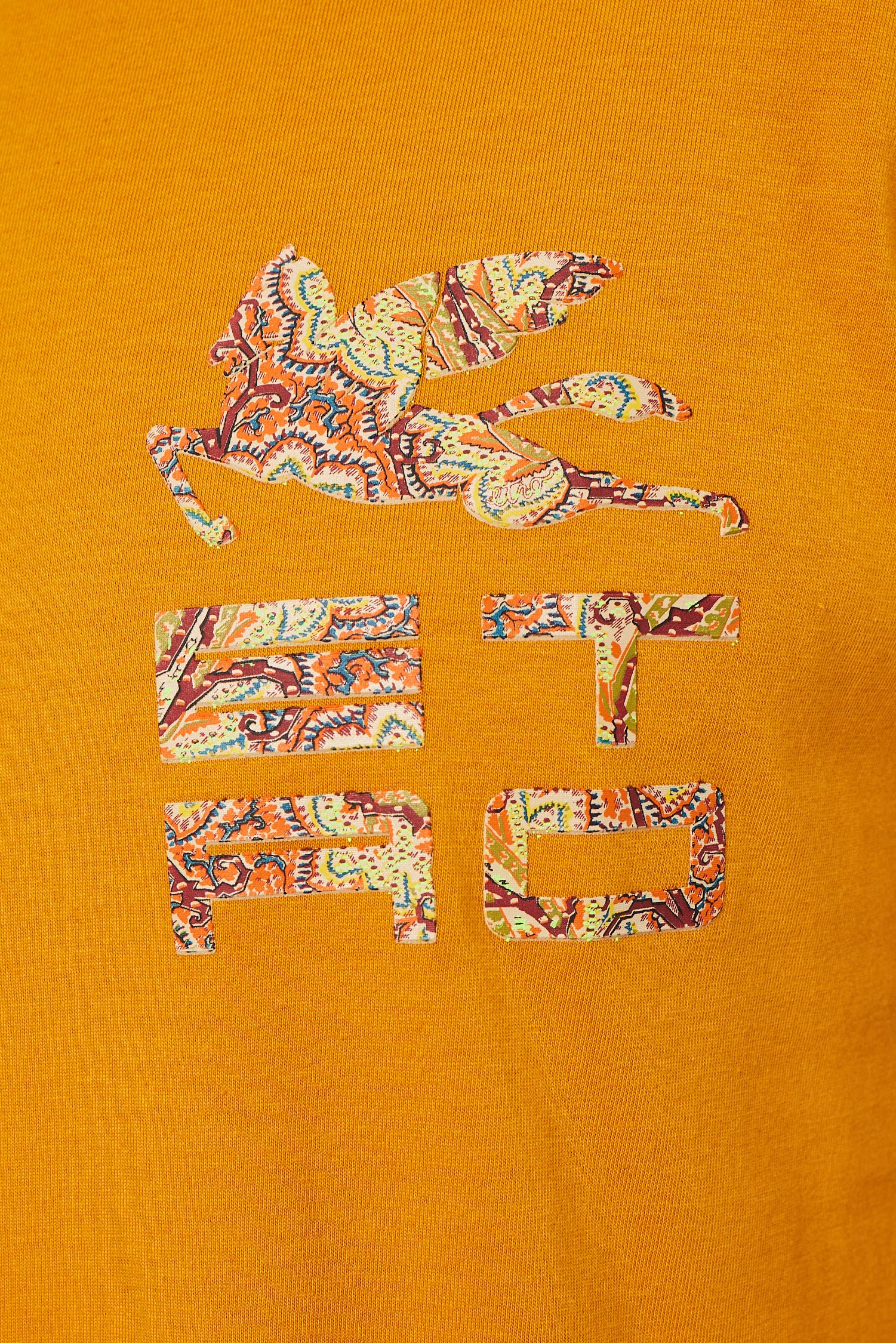 ETRO | T-Shirt With Printed Logo | Orange