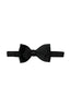 ASCOT | Self-Tie Bow Tie | Black